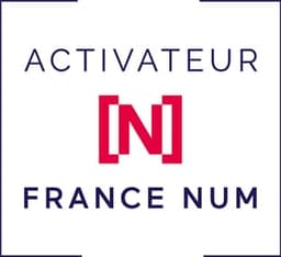 D1 Consulting - Activateur France Num